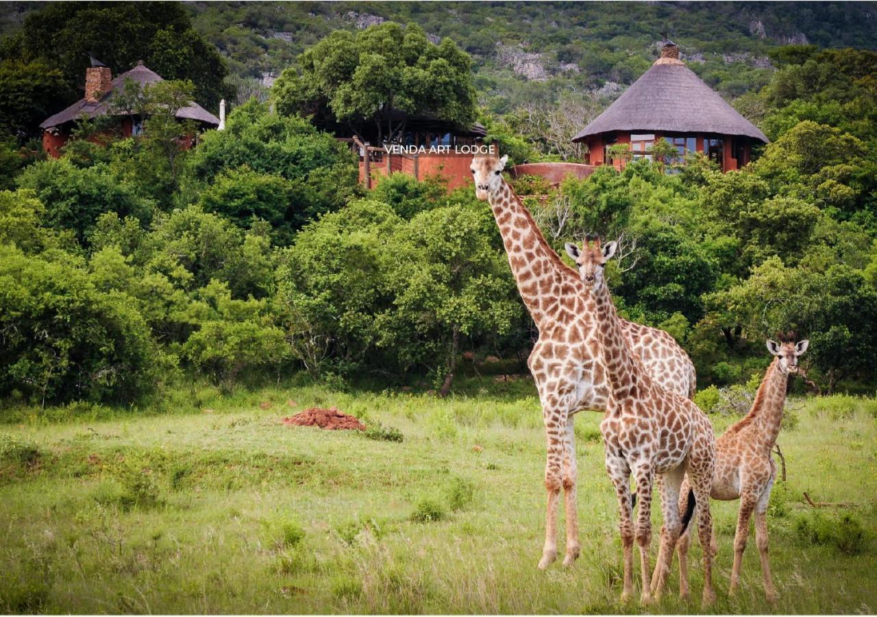 Leshiba Wilderness Villa Louis Trichardt Kültér fotó