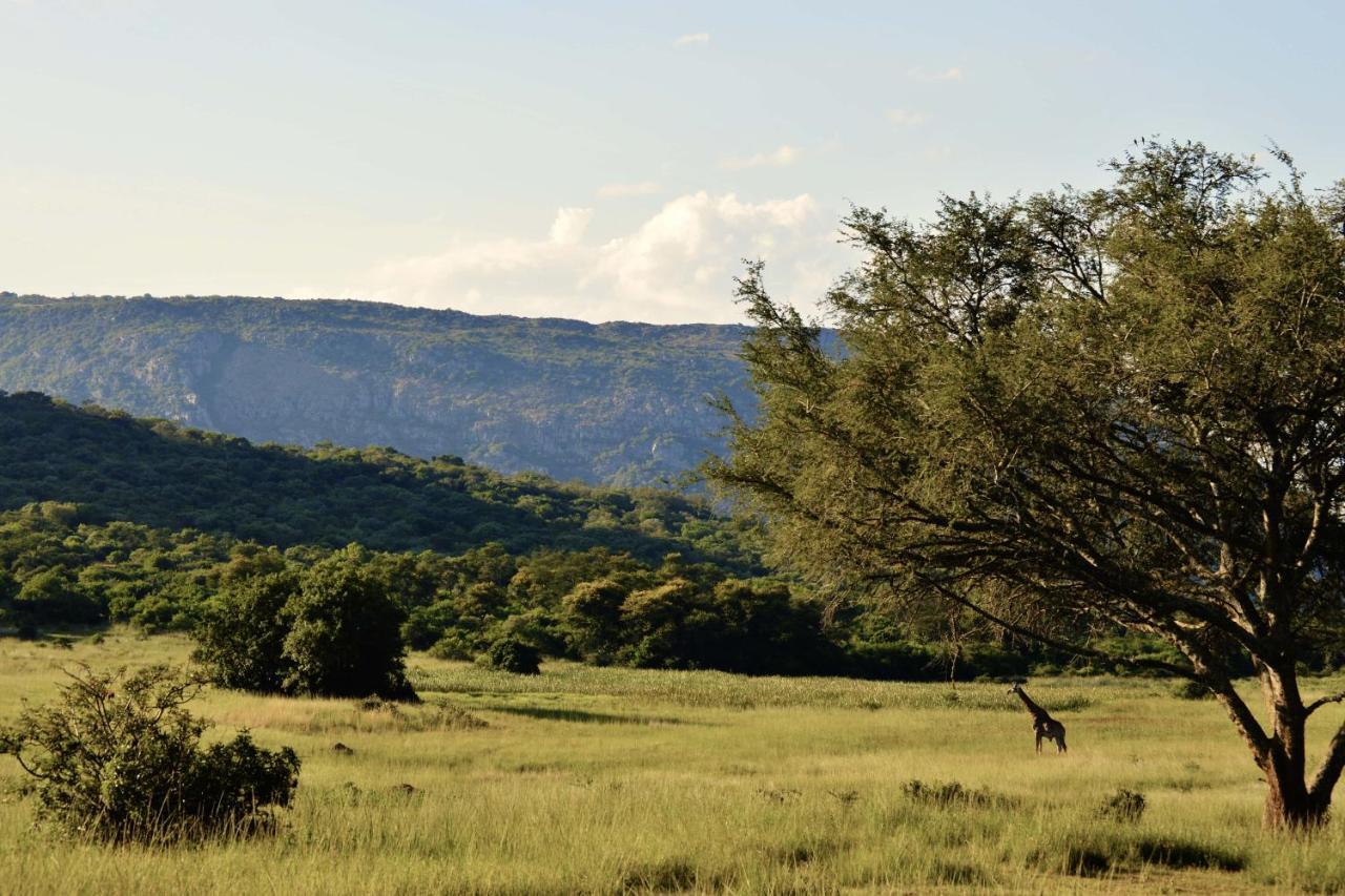 Leshiba Wilderness Villa Louis Trichardt Kültér fotó