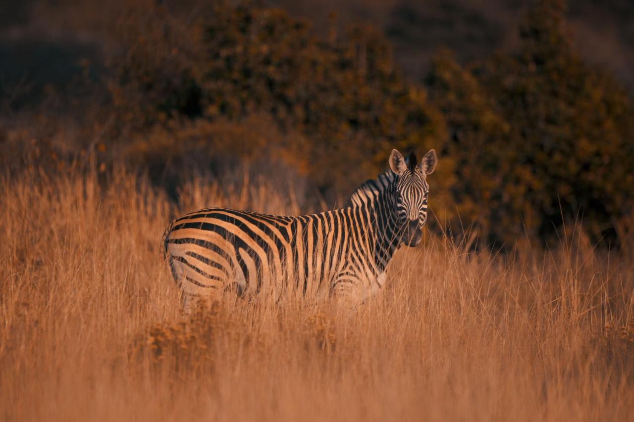Leshiba Wilderness Villa Louis Trichardt Kültér fotó
